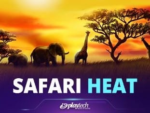 Safari Heat